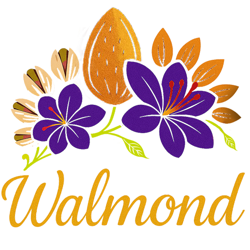 logo_طراحی سایت خشکبار صادراتی